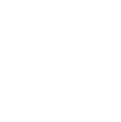 holistic-delivery
