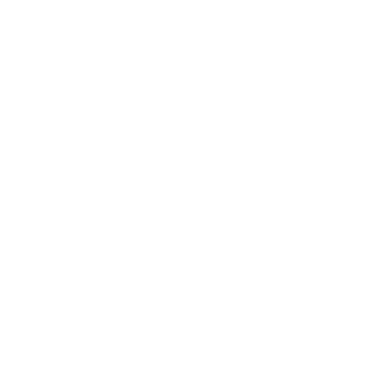 FuSa Website Icons_Aero