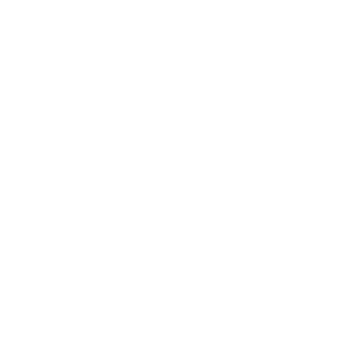 FuSa Website Icons_Auto & Comm