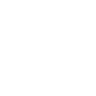 FuSa Website Icons_Defense