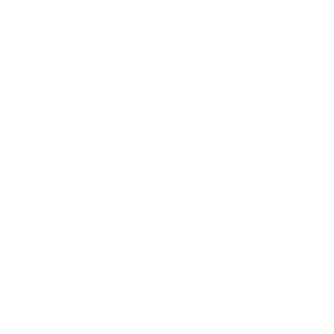 FuSa Website Icons_Rail